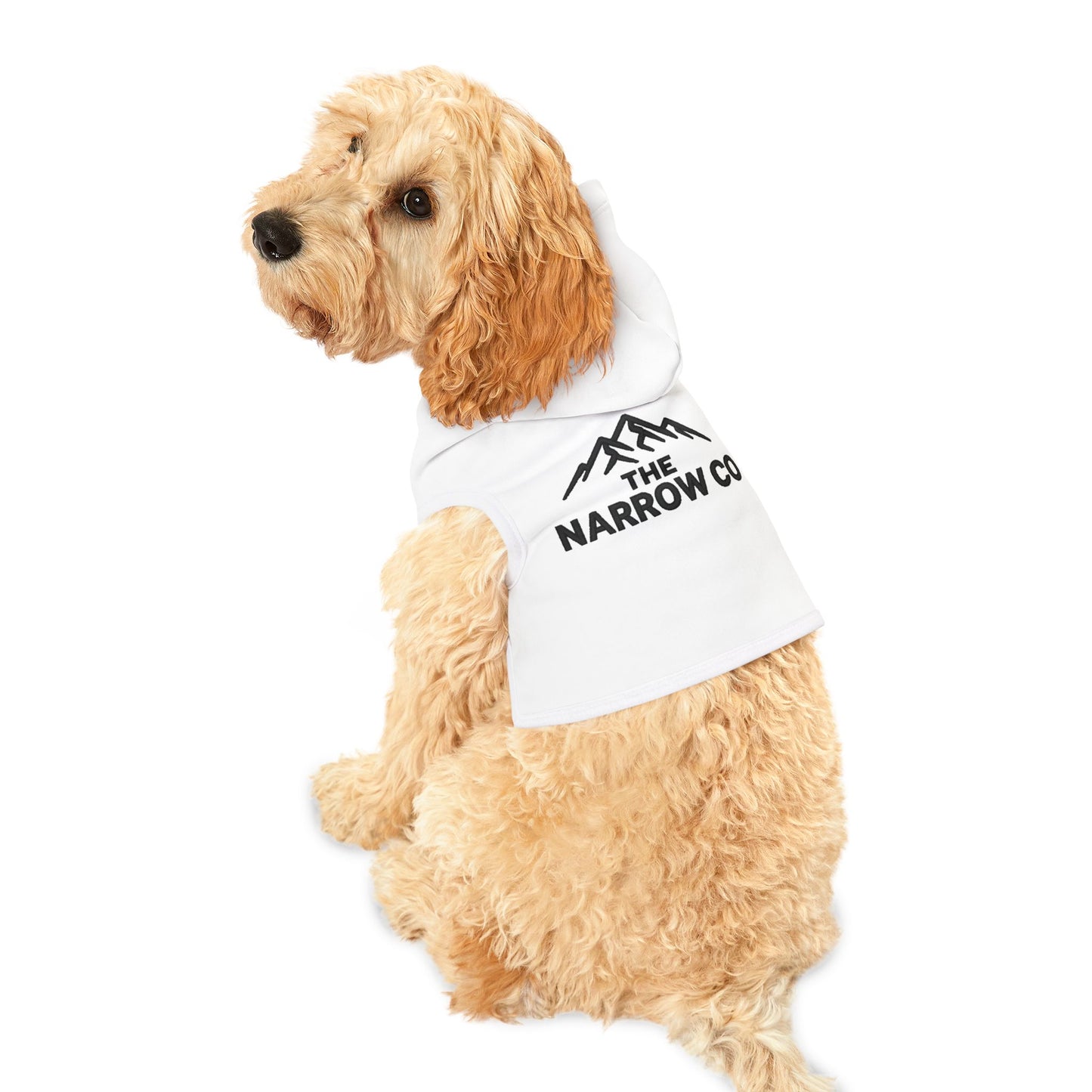 Cozy Mountain Pet Hoodie - Stylish Outdoor Gear for Dogs