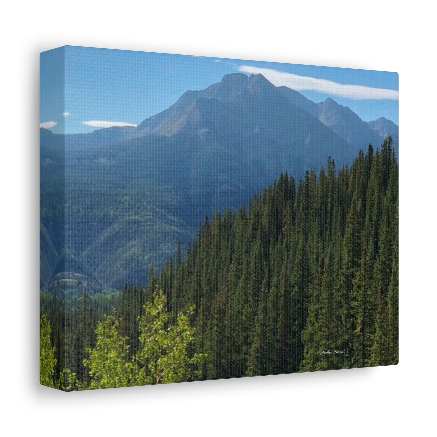 Colorado Nature Landscape Stretched Canvas - Majestic Mountain & Forest Art by Andrea Stevens