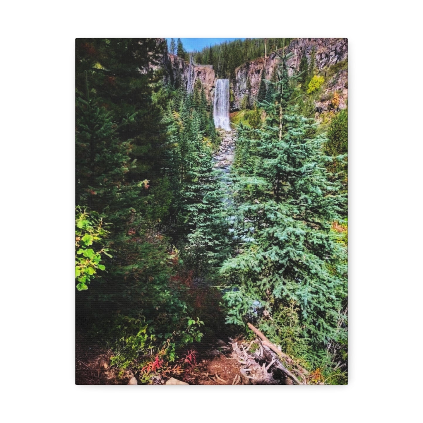 Bend Oregon Serene Nature Stretched Canvas - Tranquil Forest Waterfall Wall Art