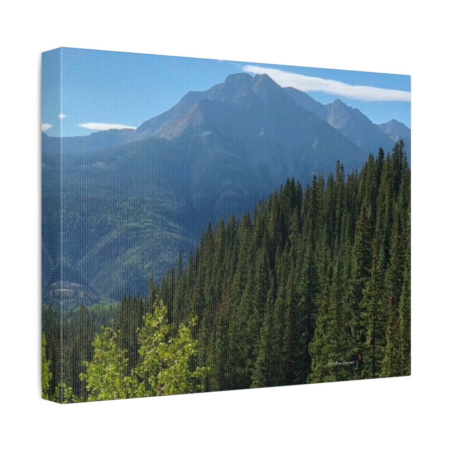 Colorado Nature Landscape Stretched Canvas - Majestic Mountain & Forest Art by Andrea Stevens