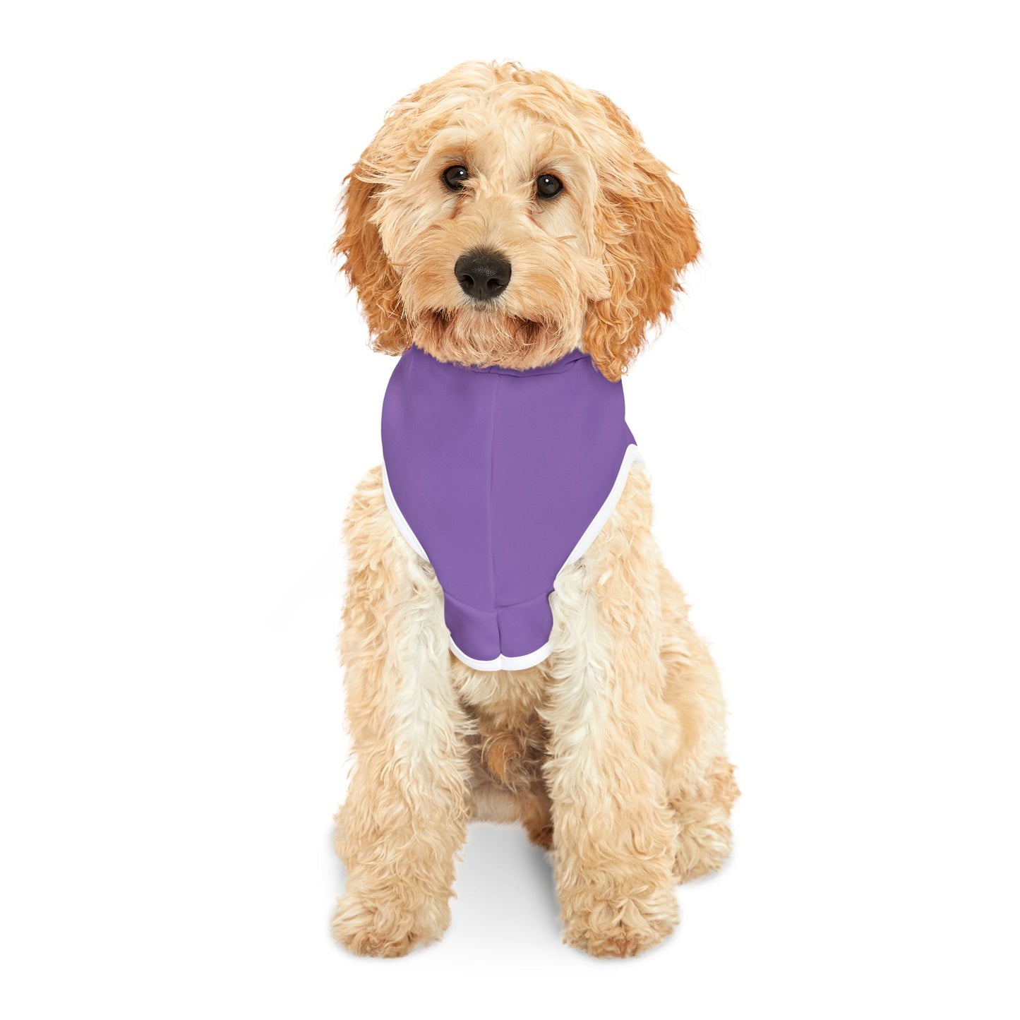 Cozy Purple Pet Hoodie - Perfect for Adventures & Outdoor Fun