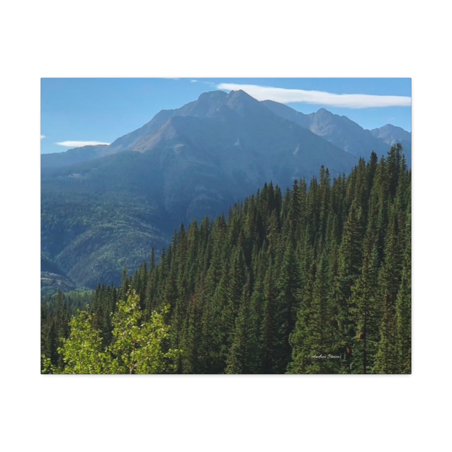 Colorado Nature Landscape Stretched Canvas - Majestic Mountain & Forest Art by Andrea Stevens