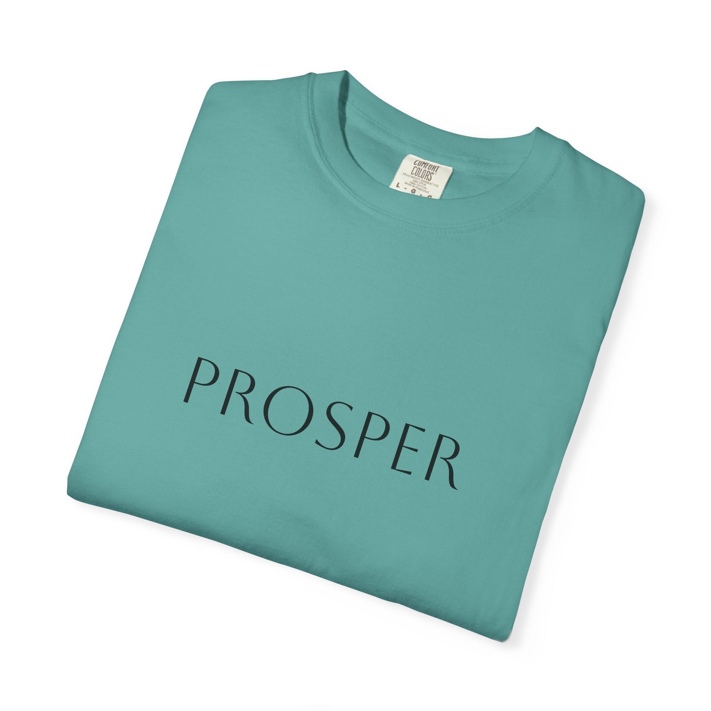 Inspirational Prosper T-Shirt for Hope and Motivation