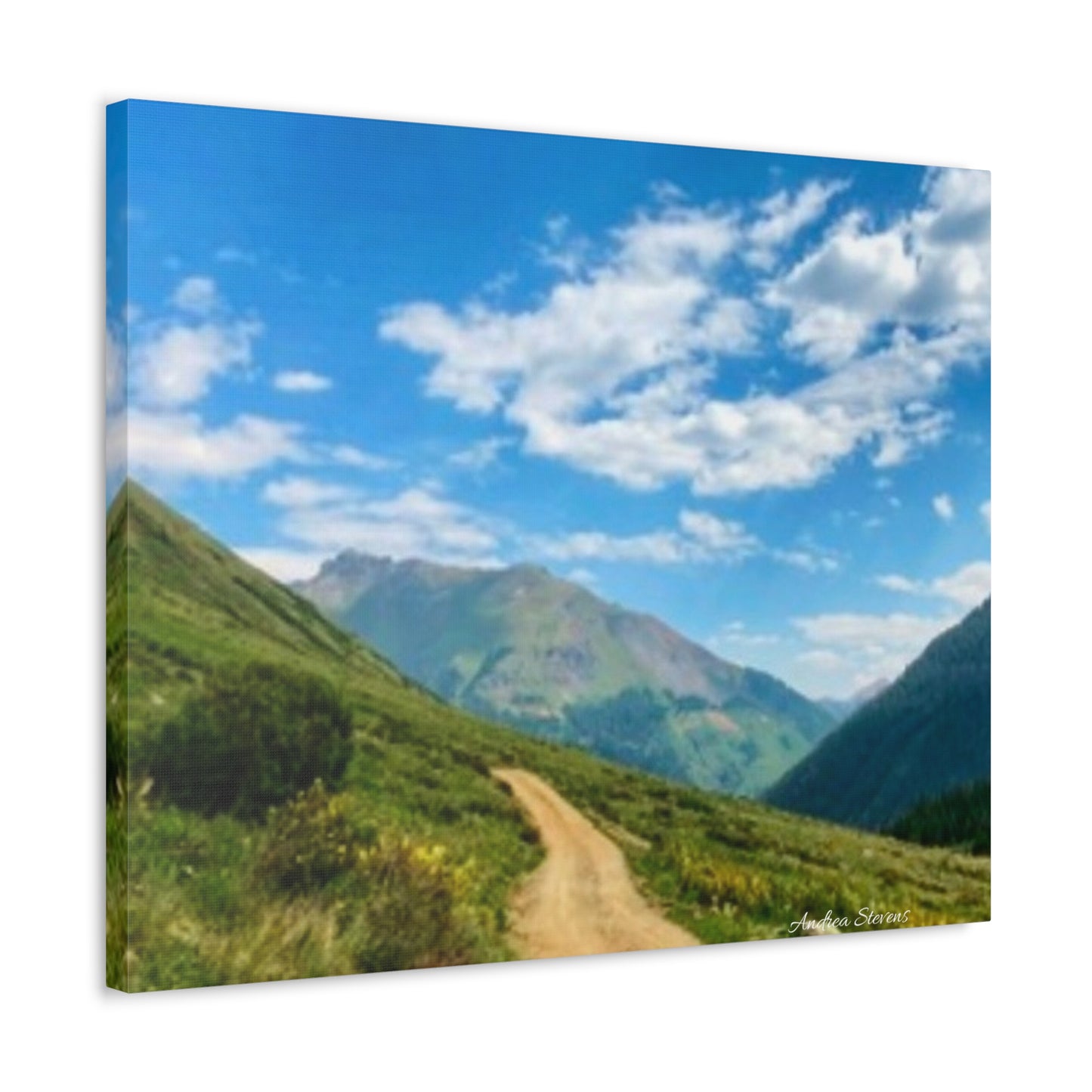 Colorado Scenic Inspirational Stretched Canvas - Mountain Off Roading Path Artwork by Andrea Stevens
