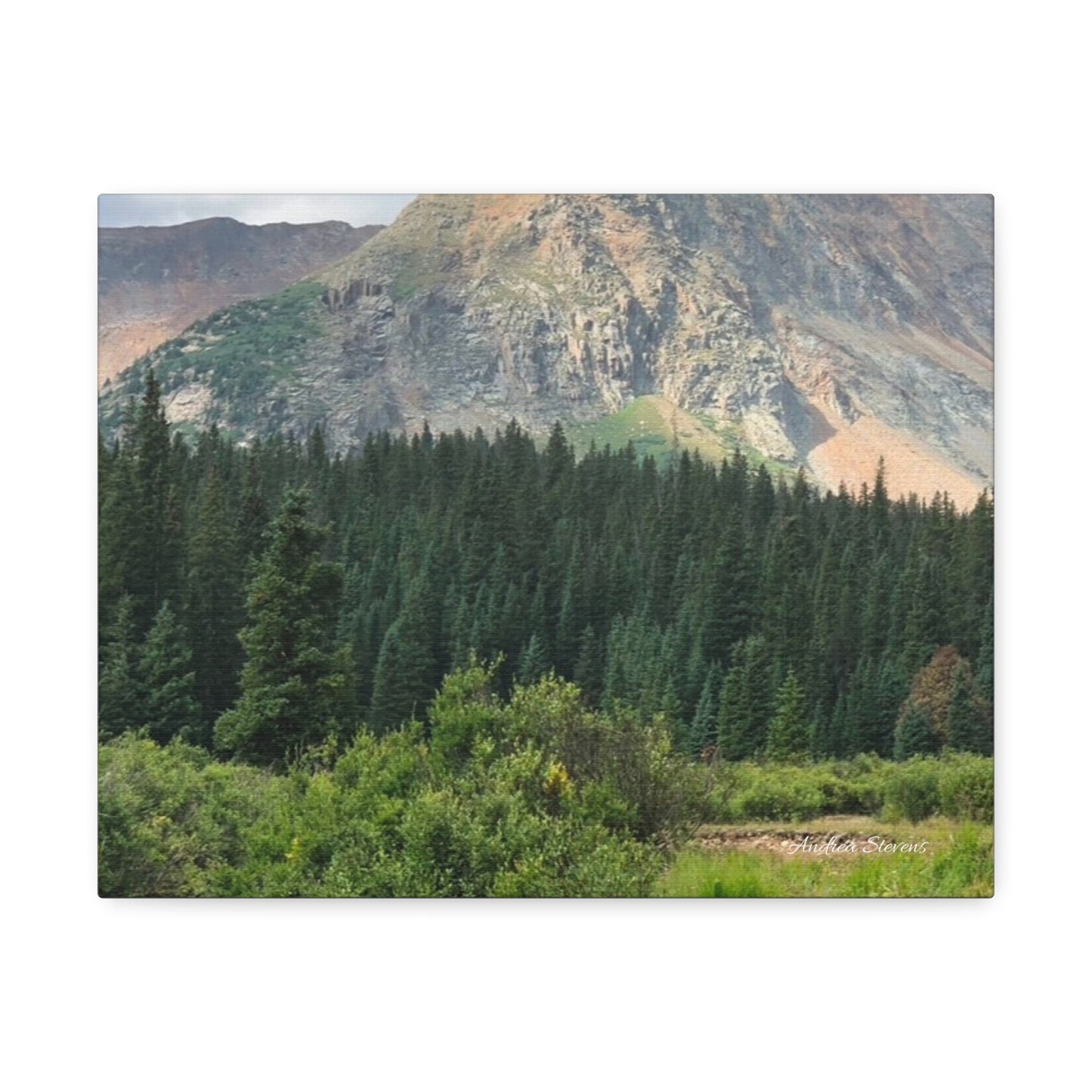 Colorado Nature Landscape Stretched Canvas Wall Art – Rustic Home Decor by Andrea Stevens