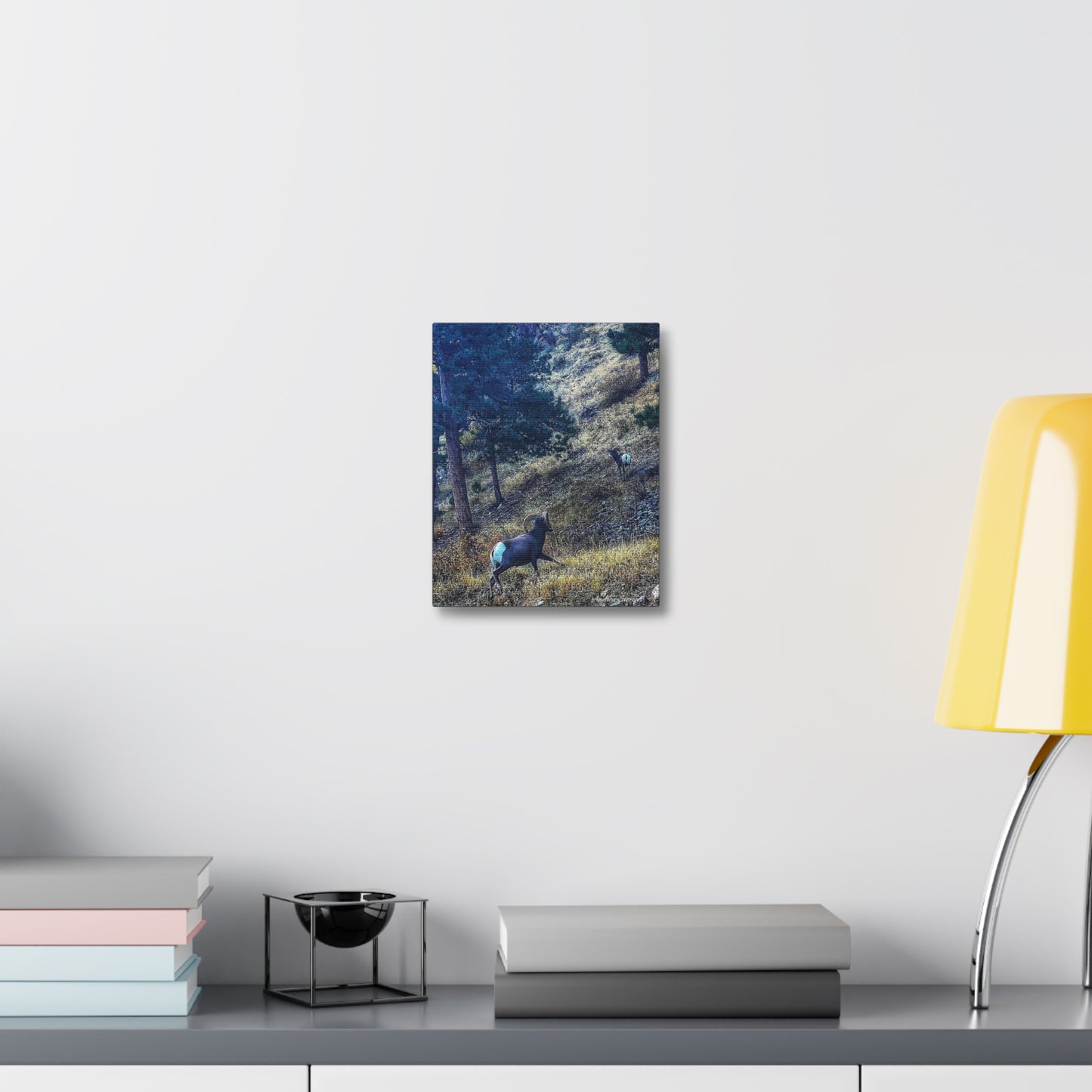 Colorado Nature-Inspired Stretched Canvas Art featuring Majestic Rams by Andrea Stevens